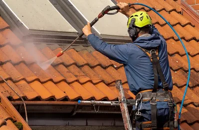 Démoussage et hydrofuge de toiture au Chaffal
